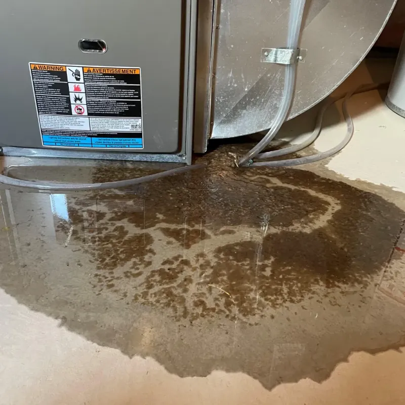 Appliance Leak Cleanup in Citrus Springs, FL